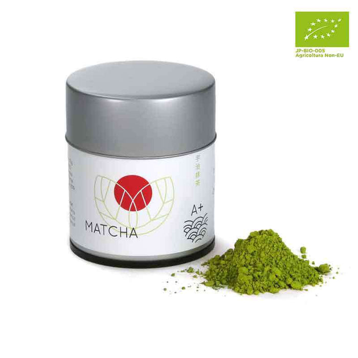 Matcha Cerimoniale Grado A+— Bastimento Shop